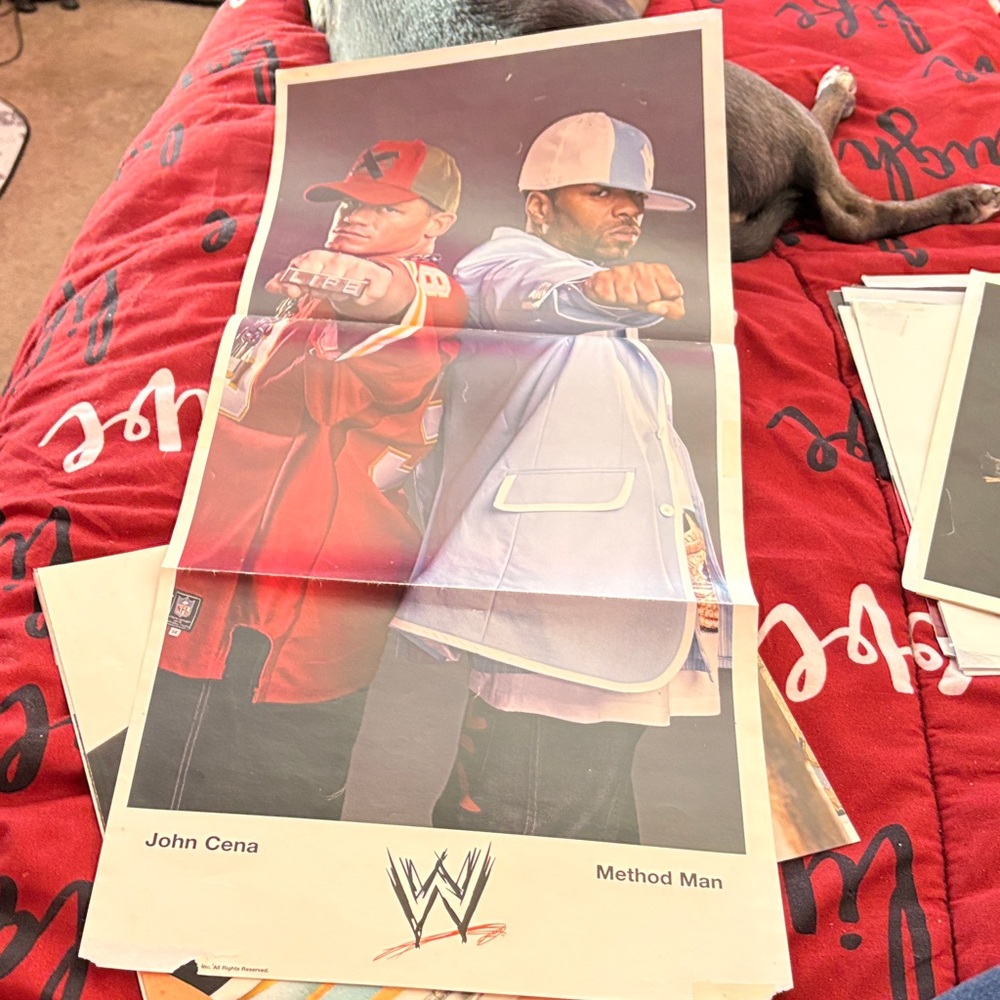 WWE Poster with Red and Blue Outfits